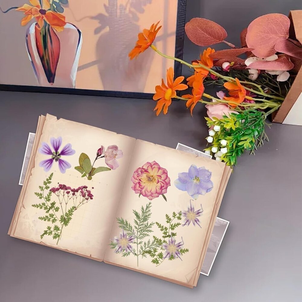 50Pcs Dried Pressed Flowers Resin Mould Real Pressed Flowers Natural Dry Leaves - Picture 6 of 6